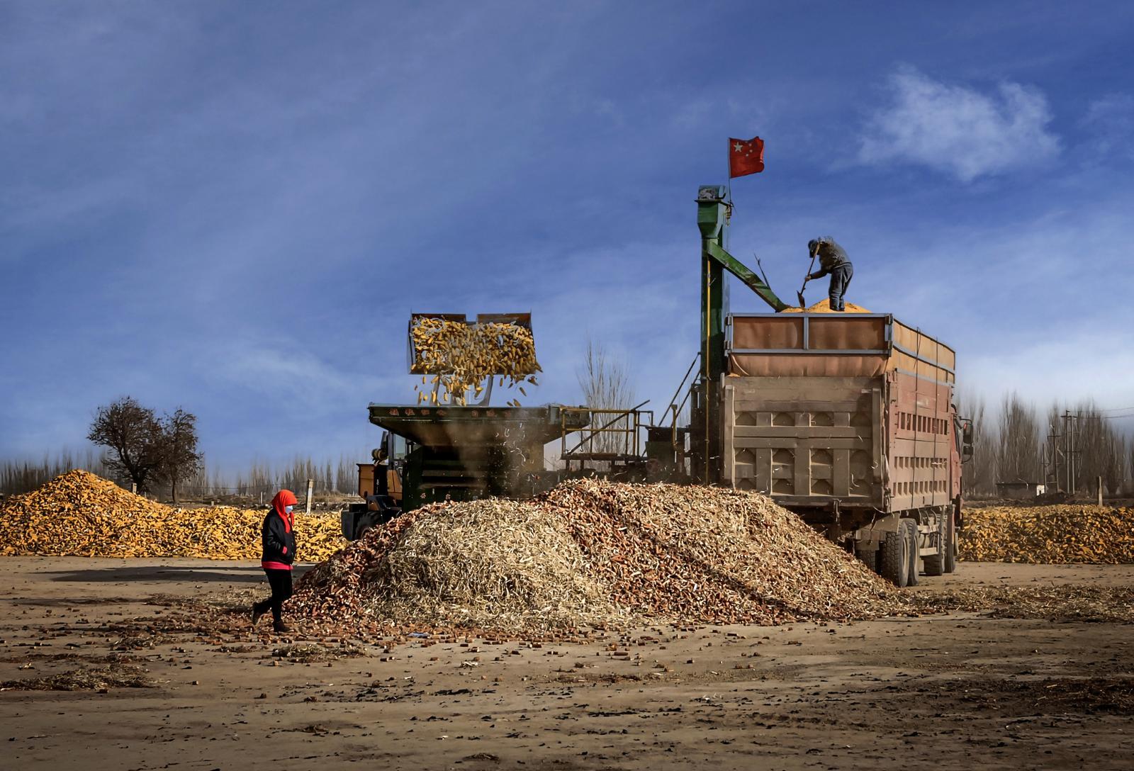 △网友　白杨　摄