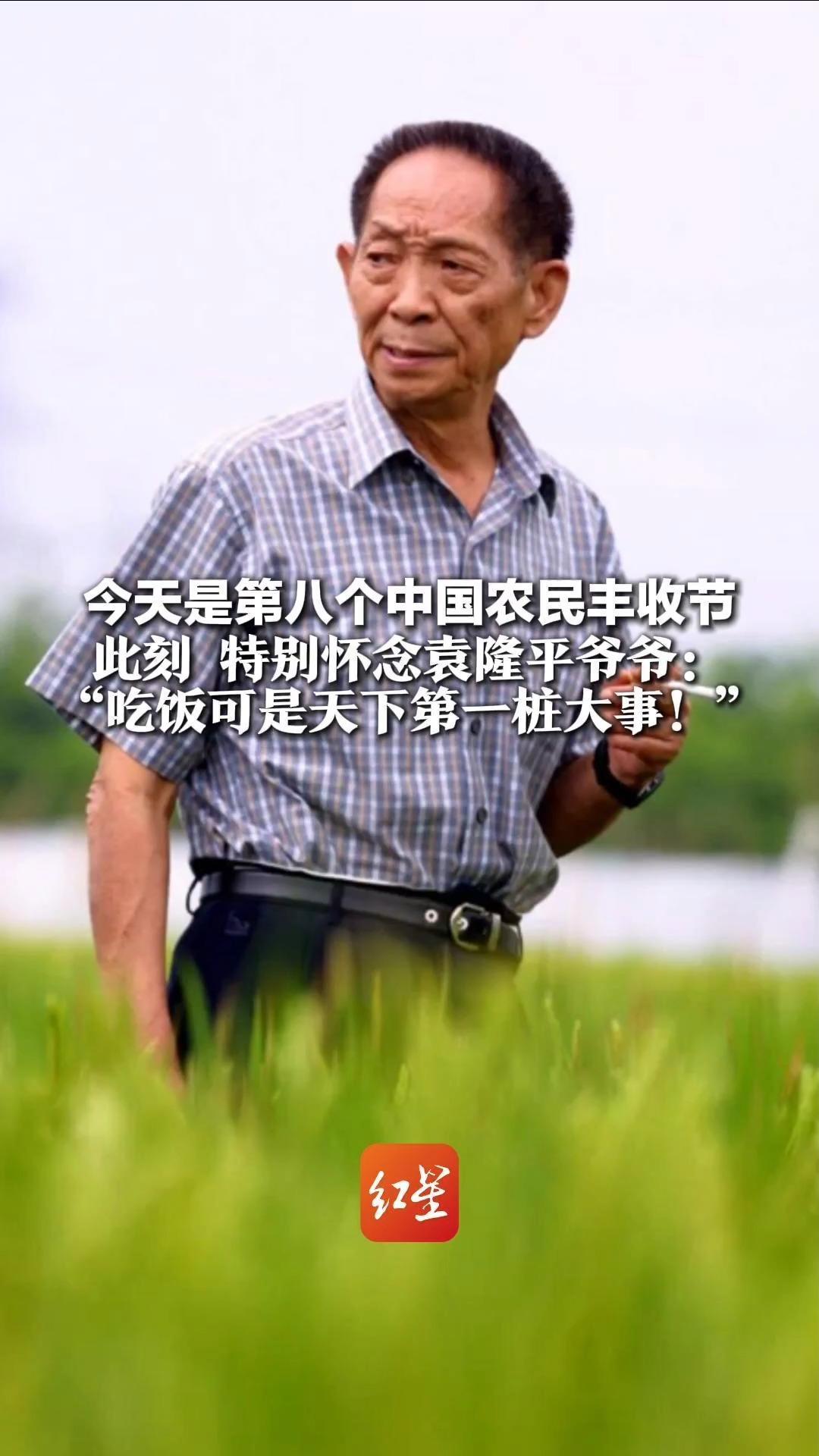 风吹麦浪丰收在望，满目金黄开镰归仓 今天是第八个中国农民丰收节 此刻 特别怀念袁隆平爷爷：“吃饭可是天下第一桩大事！”