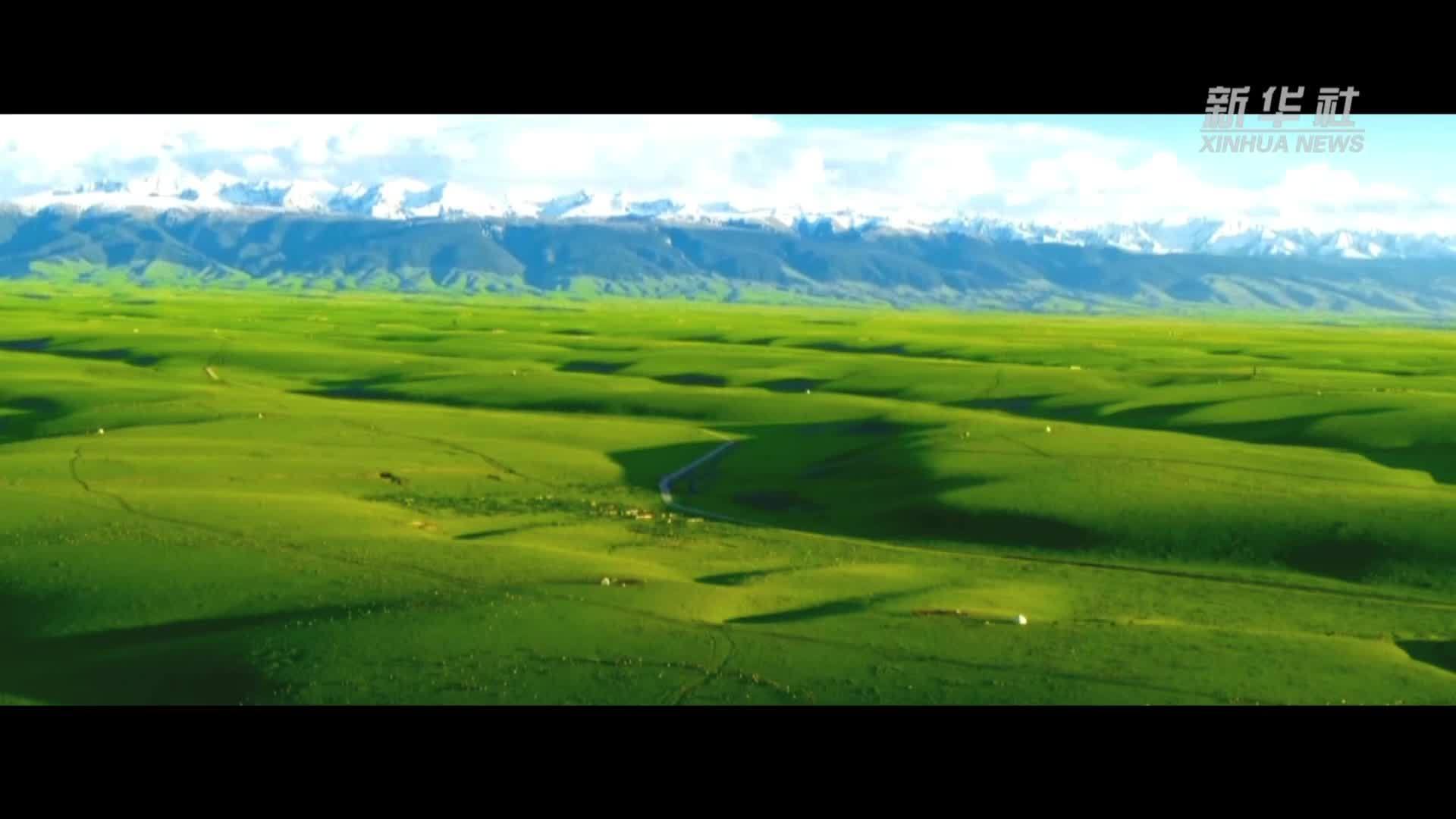 微视频丨天山南北新画卷