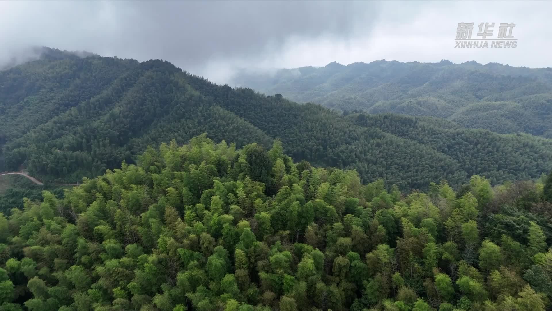 科技赋能·川蜀丰歌｜运竹出山 无人机显身手
