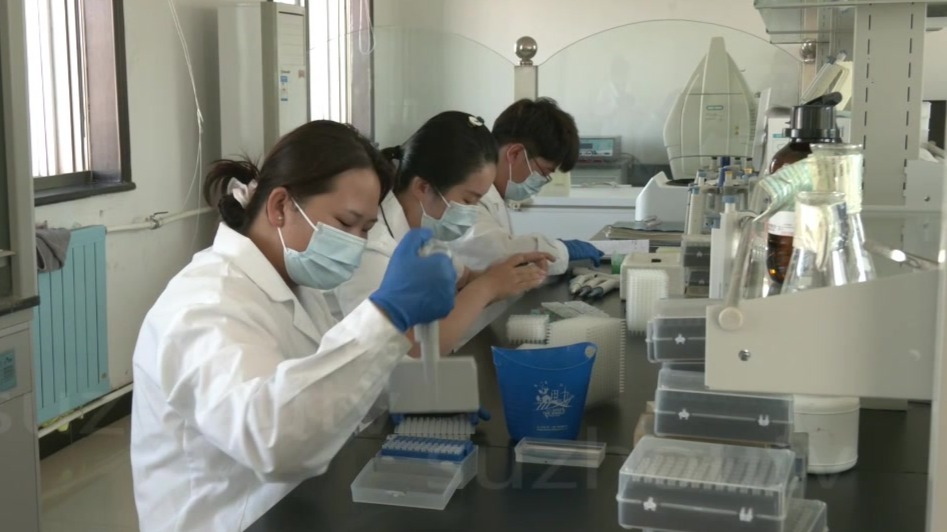 从甘肃肃州到全球　且看一粒种子“出海记”