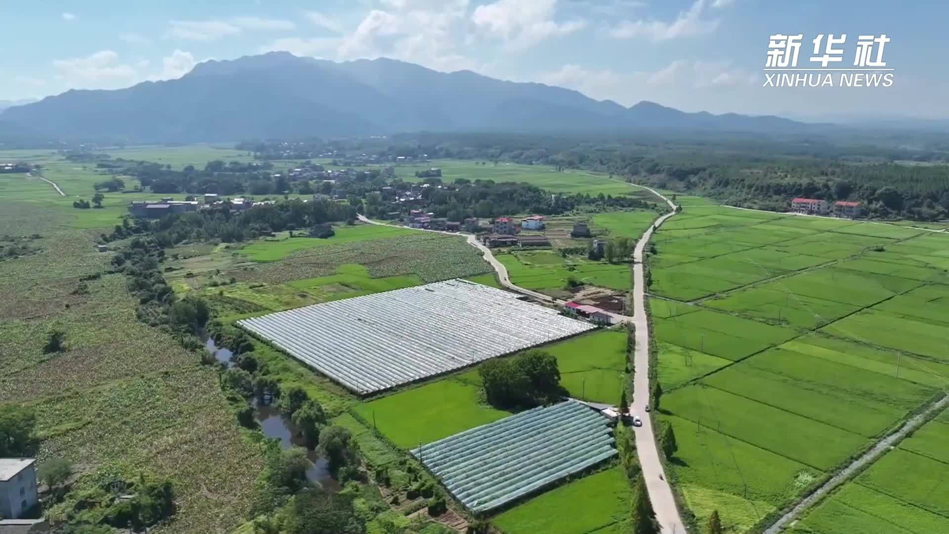 江西：葡萄产业助力村民走上致富路