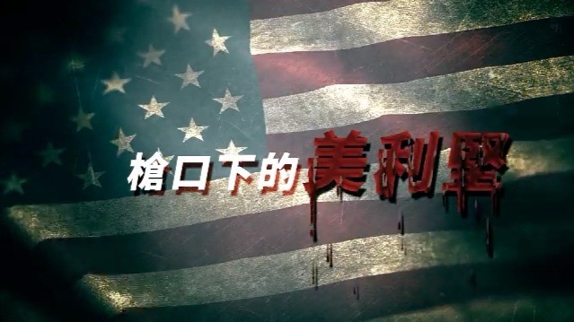 枪口下的美利坚