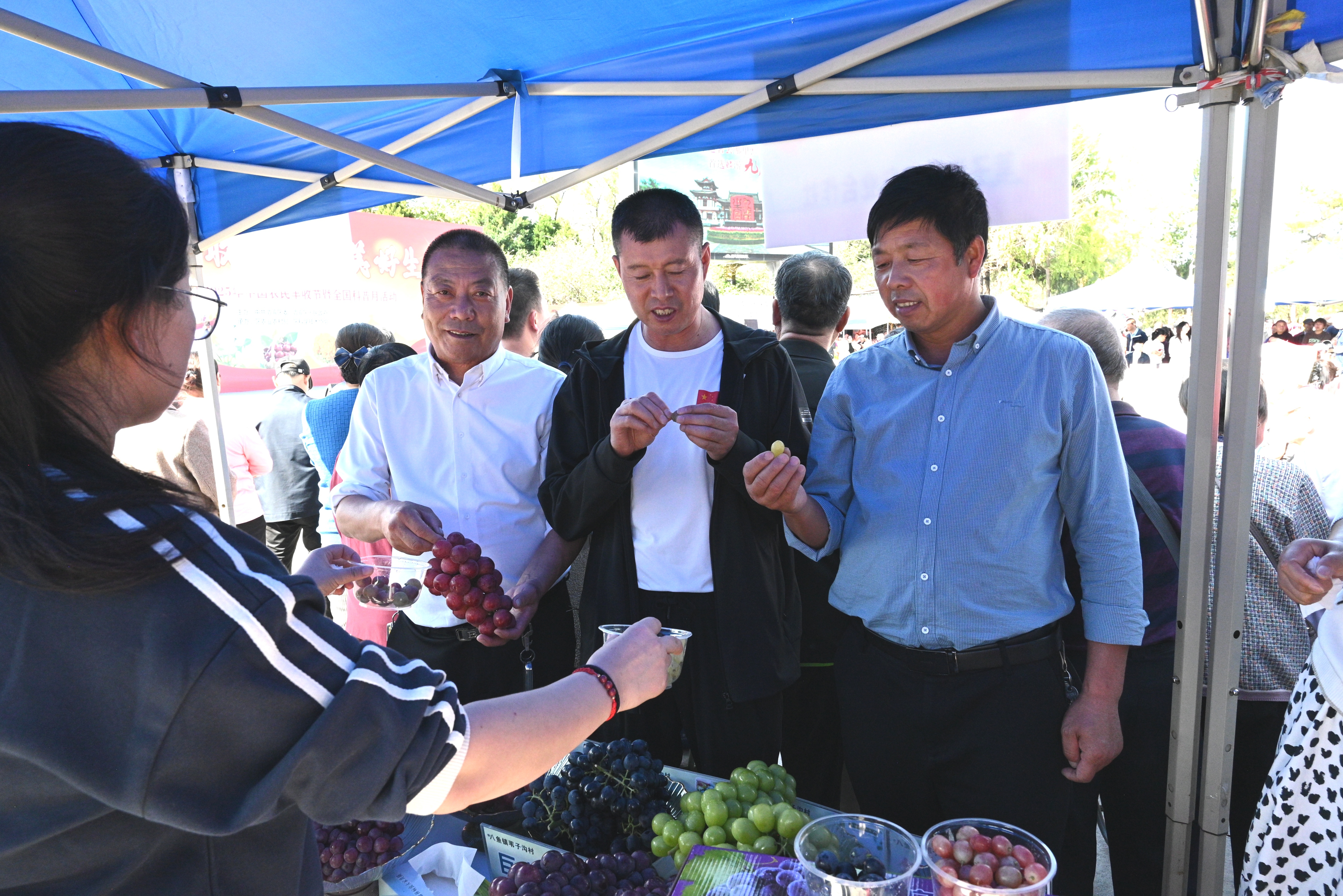 宝鸡市渭滨区庆祝2025年中国农民丰收节暨全国科普月活动举办