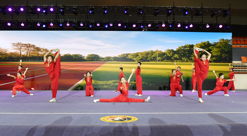 以武为媒绘两岸同心圆!第八届海峡两岸武术交流大会南京开幕