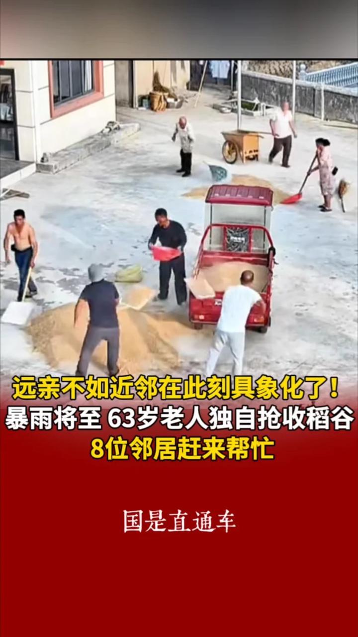 远亲不如近邻在此刻具象化了！暴雨将至 63岁老人独自抢收稻谷 8位邻居赶来帮忙