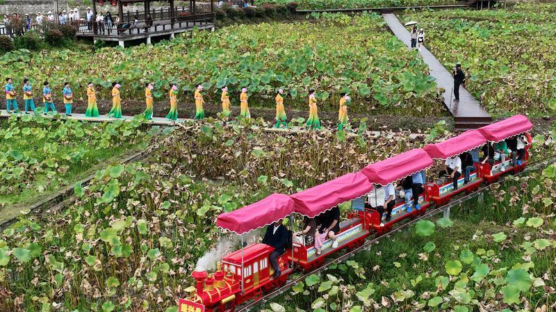 游客在活动现场千亩荷塘乘坐小火车观光