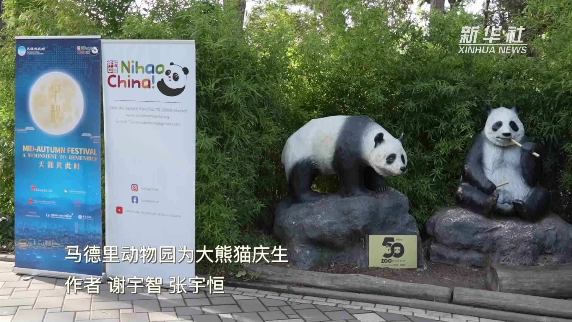 马德里动物园为大熊猫庆生