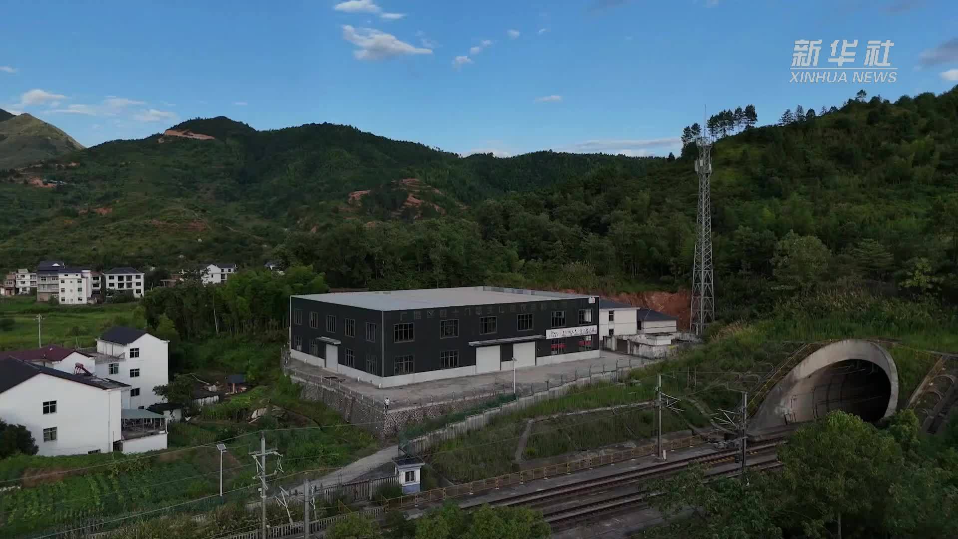 Vlog｜“金谷”丰“人才”归：一个空心村的满血复活