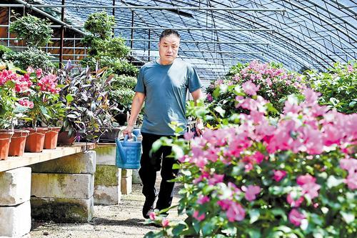 7月20日，承德市双桥区贾营村一处花卉大棚里，技术人员忙着为花卉浇水施肥。本报记者 陈宝云摄
