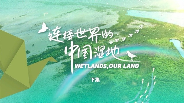连接世界的中国湿地（下）