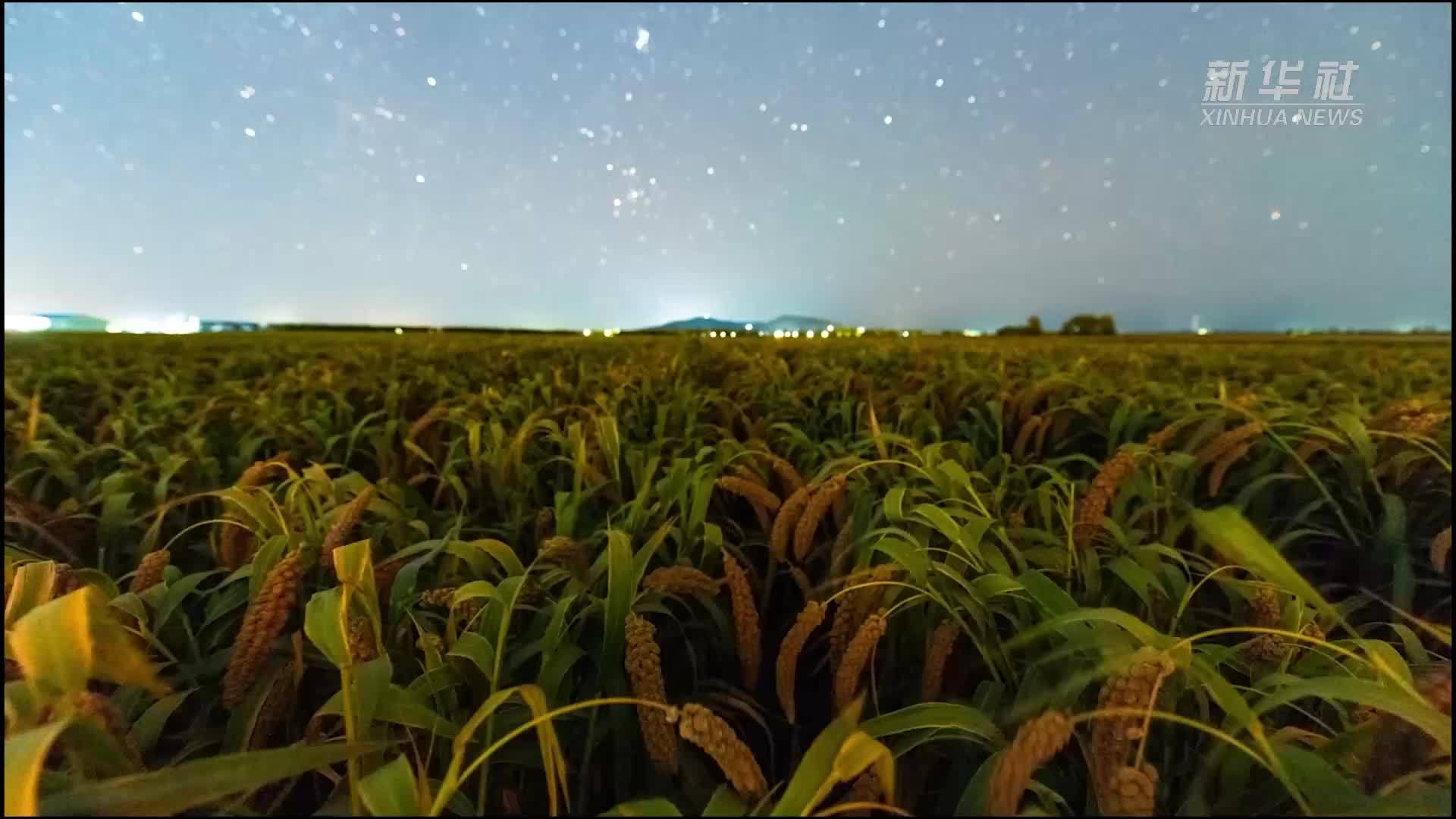 星空相册｜星空下的“北大仓”丰收图景