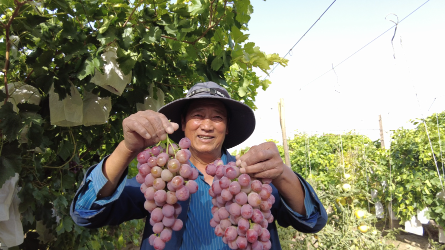 △记者　马彤　摄