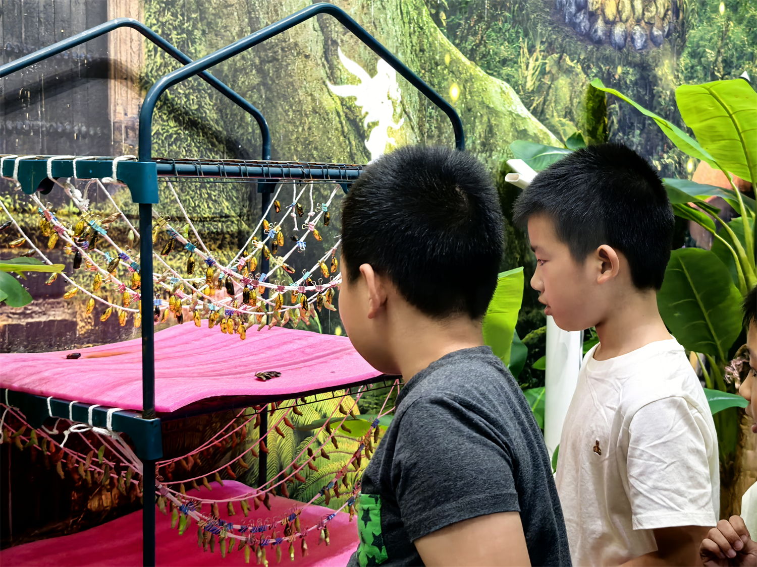 网格长的自然课堂:带领孩子见证蜕变,践行环保