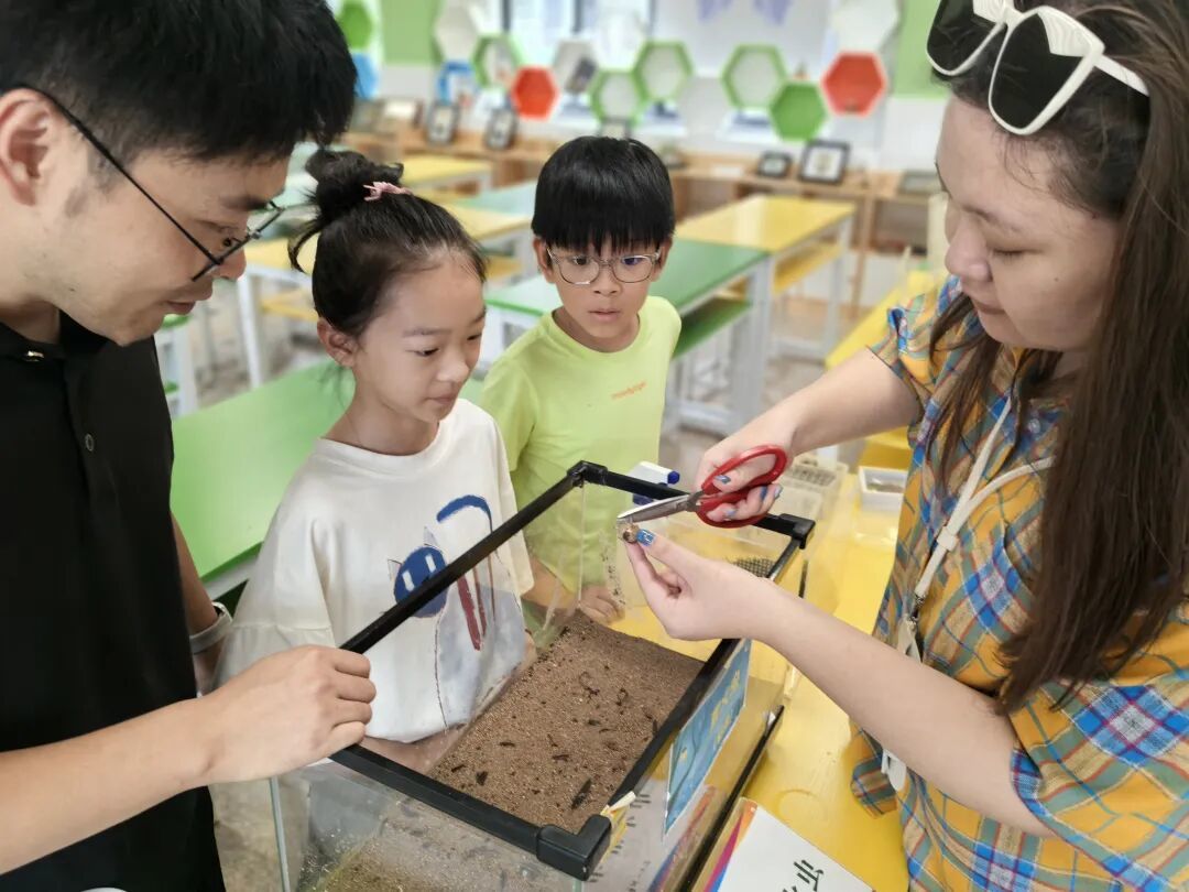 记者（右一）喂食萤火虫