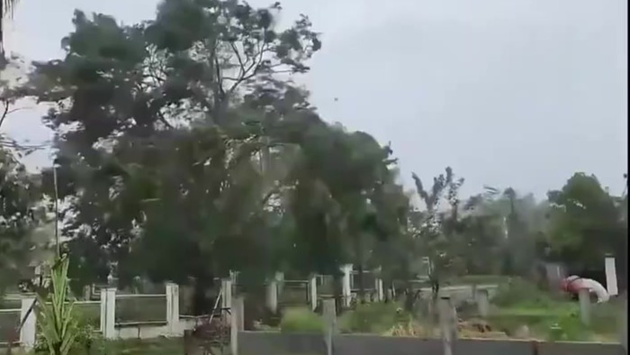 台风“博罗依”登陆菲律宾 已致4人死亡