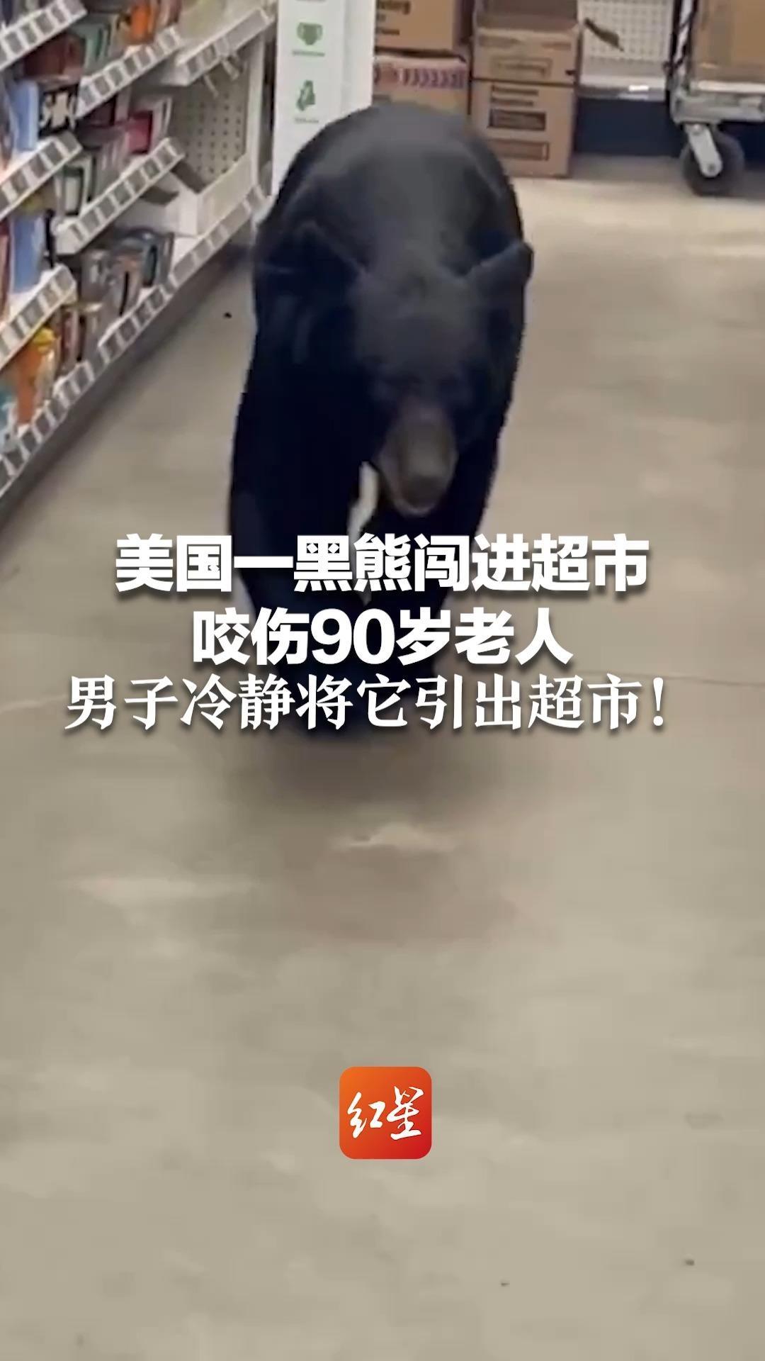 美国一黑熊闯进超市 咬伤90岁老人 男子冷静将它引出超市！警方：驱赶后又返回，已击毙