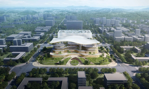 征集八大类！三亚市博物馆全力冲刺2026年开馆