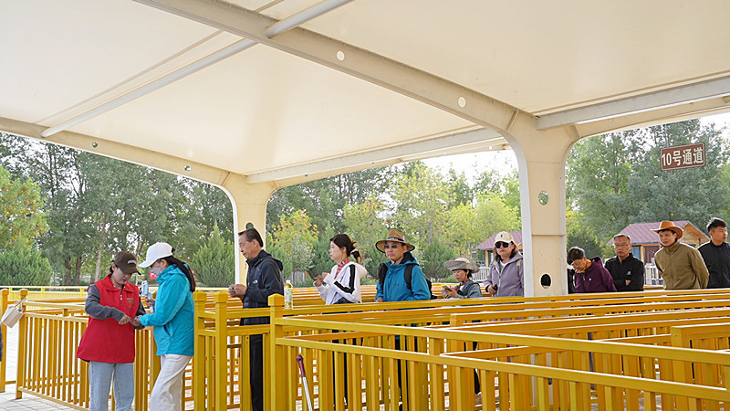 万亩胡杨换“金装”　来甘肃金塔遇见秋日专属浪漫