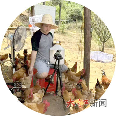 宁都黄鸡如今“飞”上了全国人民的餐桌。