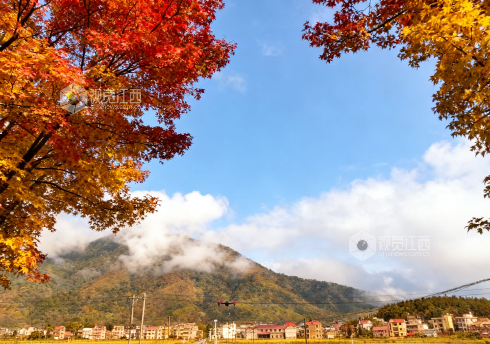 9月25日，永新县澧田镇秋云变幻，田野铺金，如诗如画。