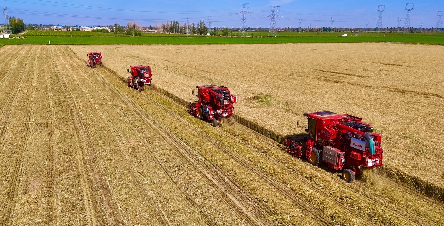 △记者　吕同　摄