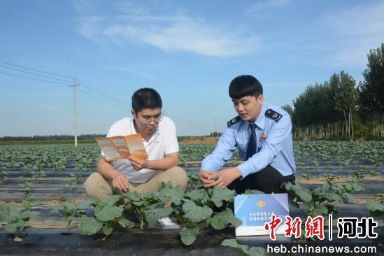 图为三河市税务局工作人员为农户讲解税惠政策。 王雅薪 摄