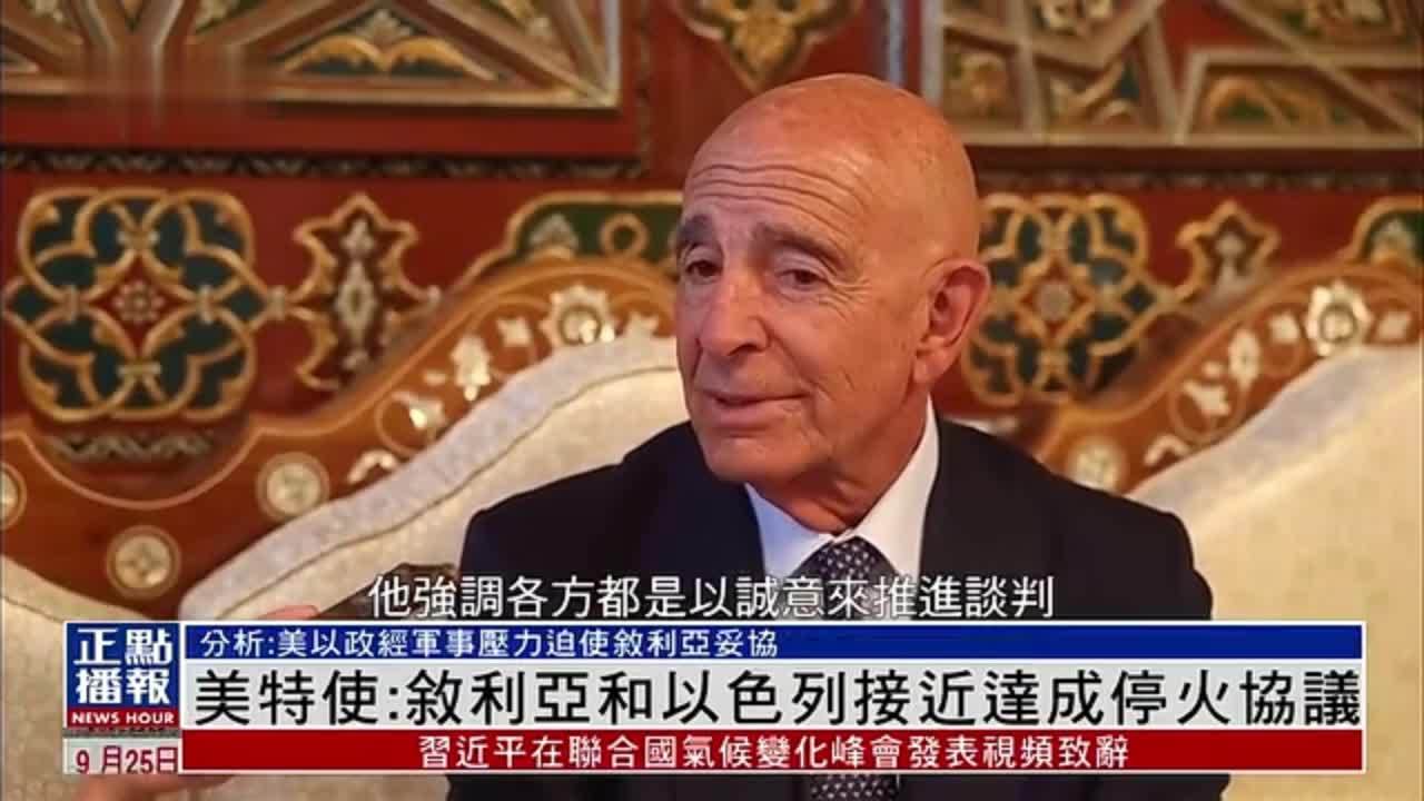 美特使：叙利亚和以色列接近达成停火协议