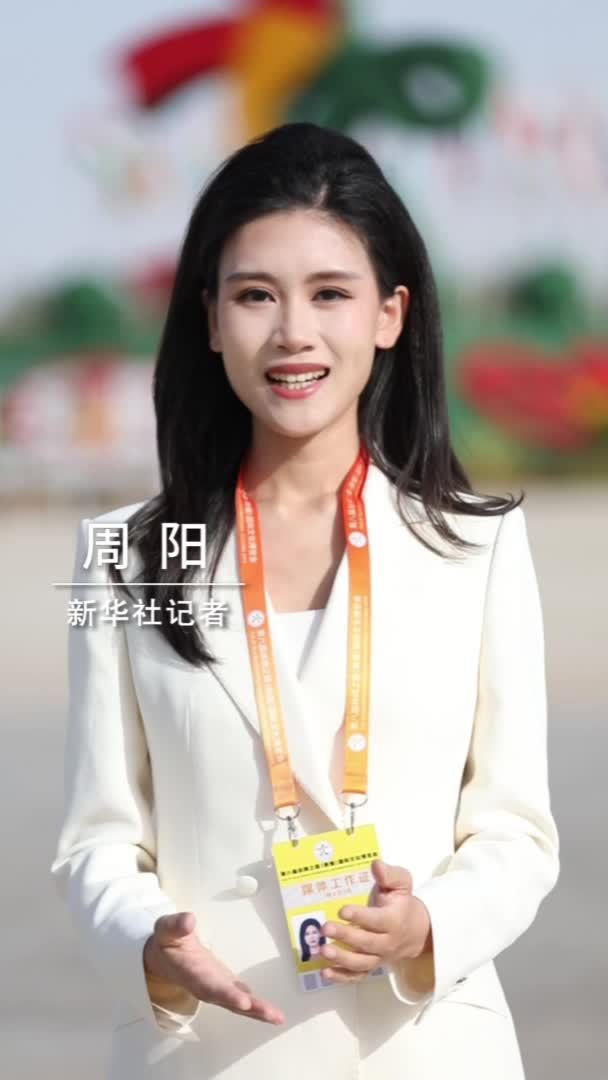 新华社消息｜第八届丝绸之路(敦煌)国际文化博览会开幕