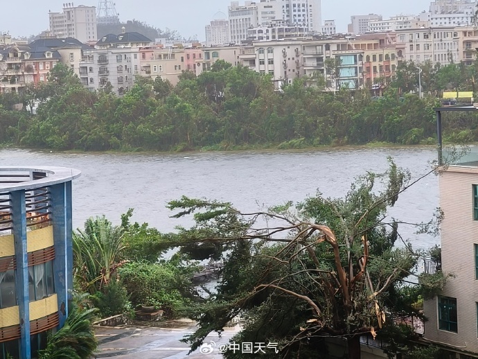 台风桦加沙对广东阳江造成严重影响：海水倒灌、树木折断