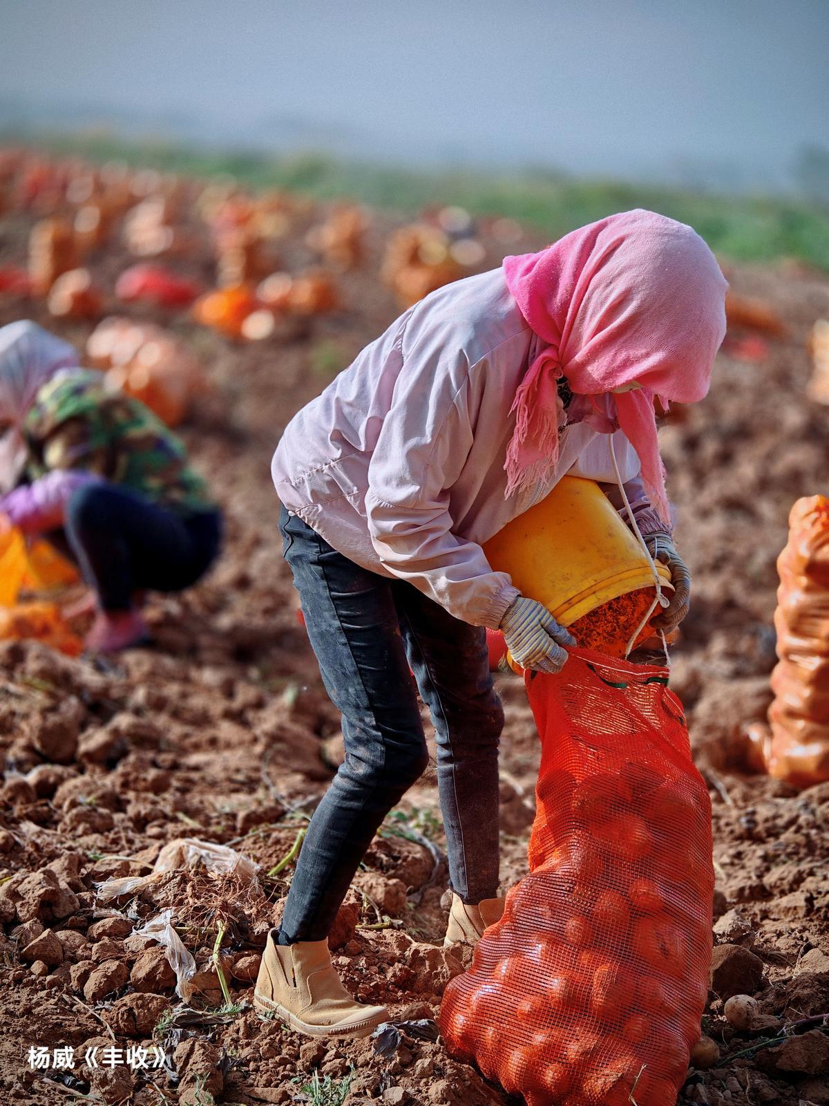 △网友　杨威　摄