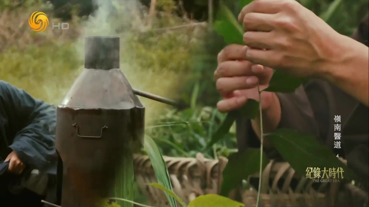 回溯潘茂名炼丹采药的修行生活，寻找岭南中医药文化的精神源头