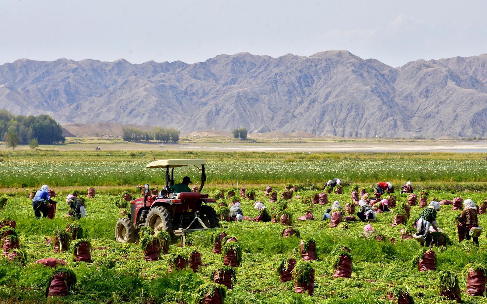 △网友　赵淑霞　摄