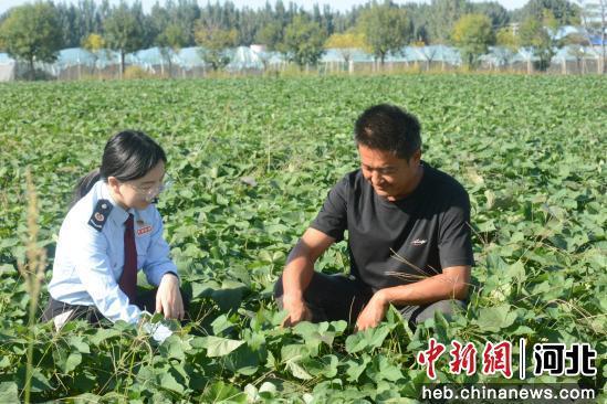 图为三河市税务局工作人员为农户讲解税惠政策。 王雅薪 摄