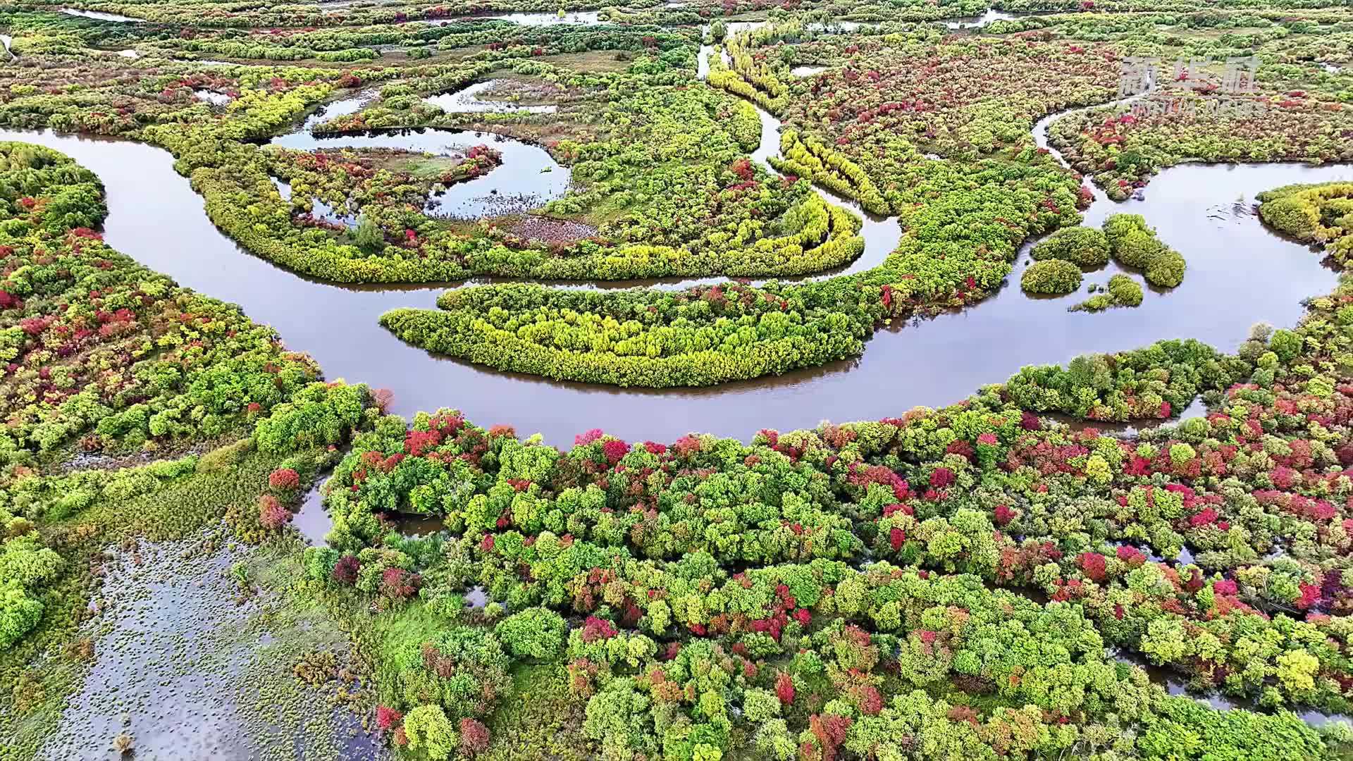 千城胜景｜额尔古纳湿地五彩斑斓