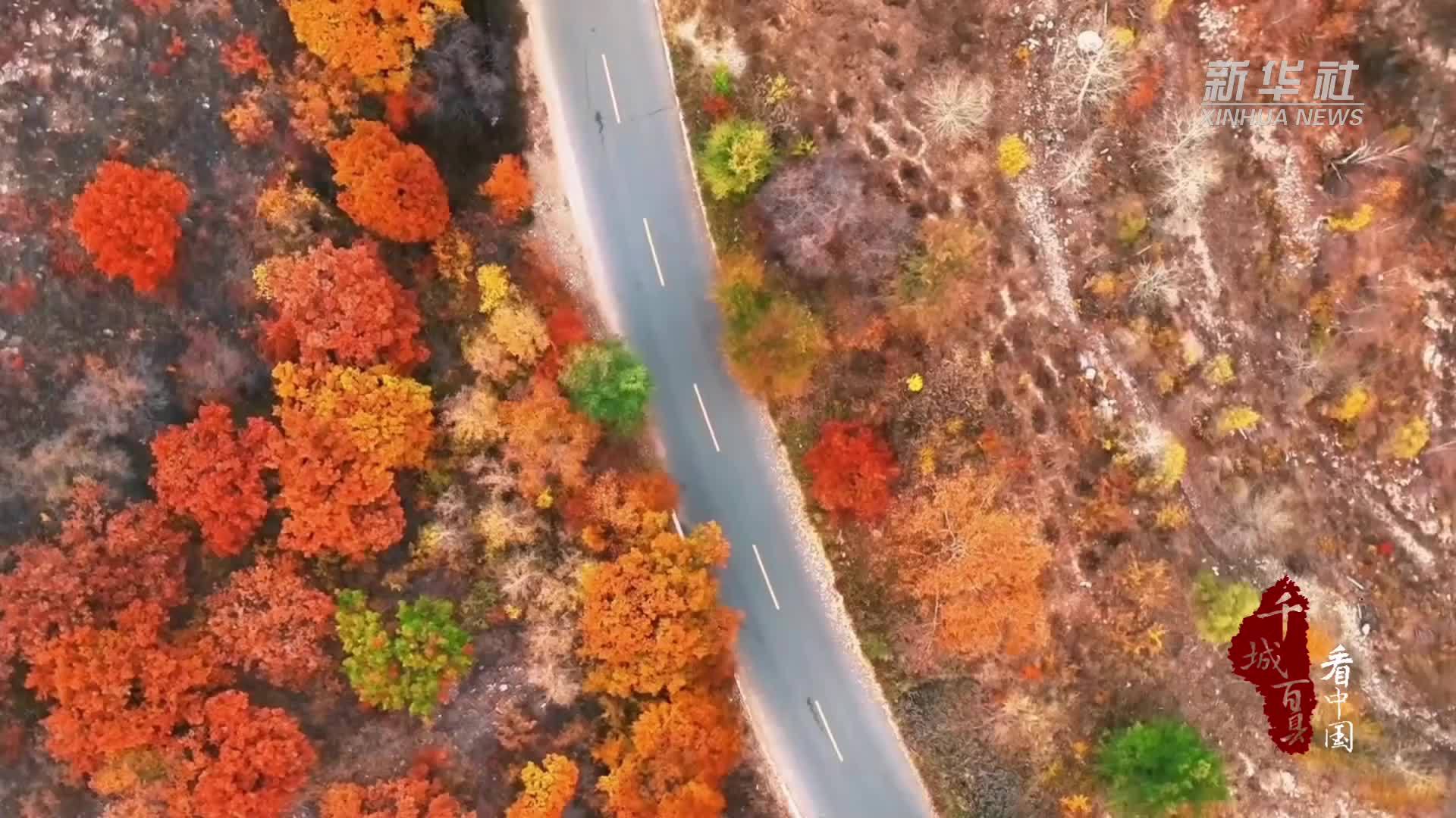 千城百县看中国｜内蒙古：包头诗意之秋