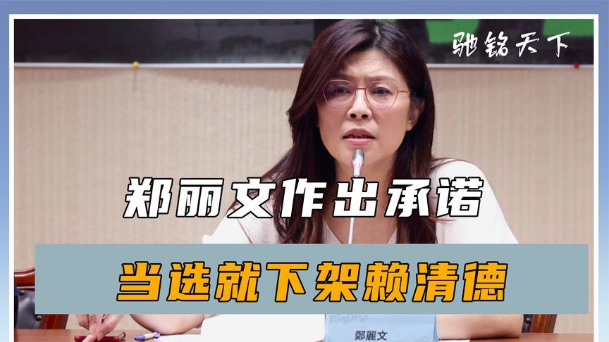 支持率第一，郑丽文作出承诺，当选就下架赖清德，洪秀柱一锤定音