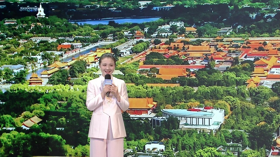 孙茜在“何以中国•理想都城”网络主题活动上发言