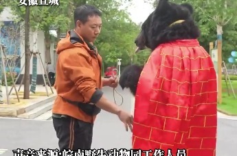 安徽宣城一动物园惊现“偷袈裟的熊”，工作人员：是真熊