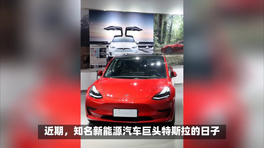 欧洲销量六连跌，特斯拉却要增产，想干嘛？