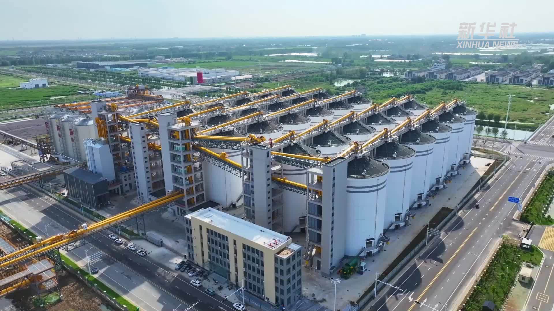 科技护粮！智能化仓储系统全面备战秋粮收购