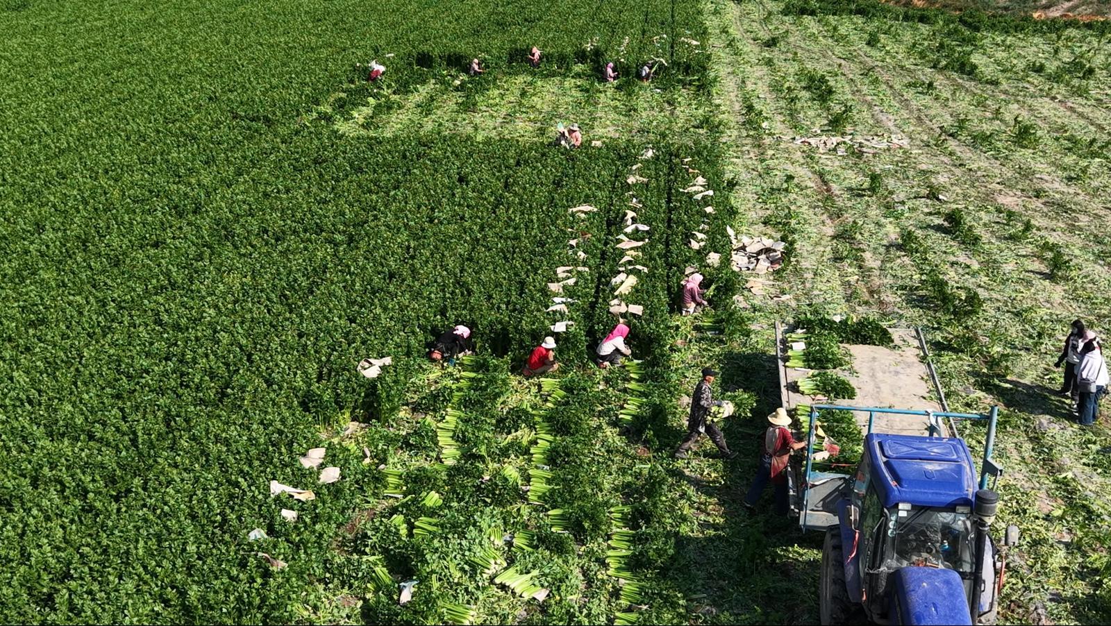 △记者　常远　摄