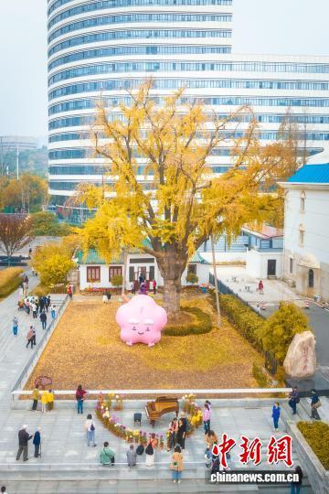 武汉历史街区焕新“再生” 成“城市漫游”热门地