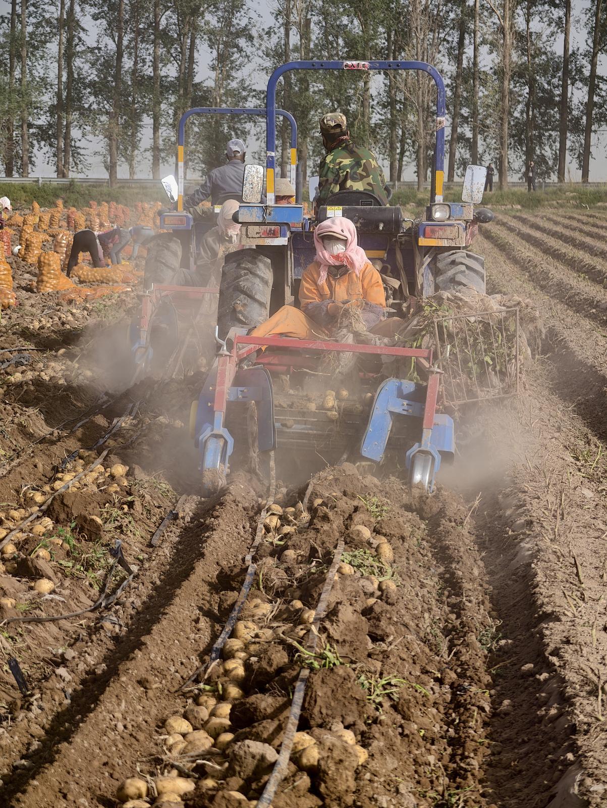 △网友　李健宁　摄