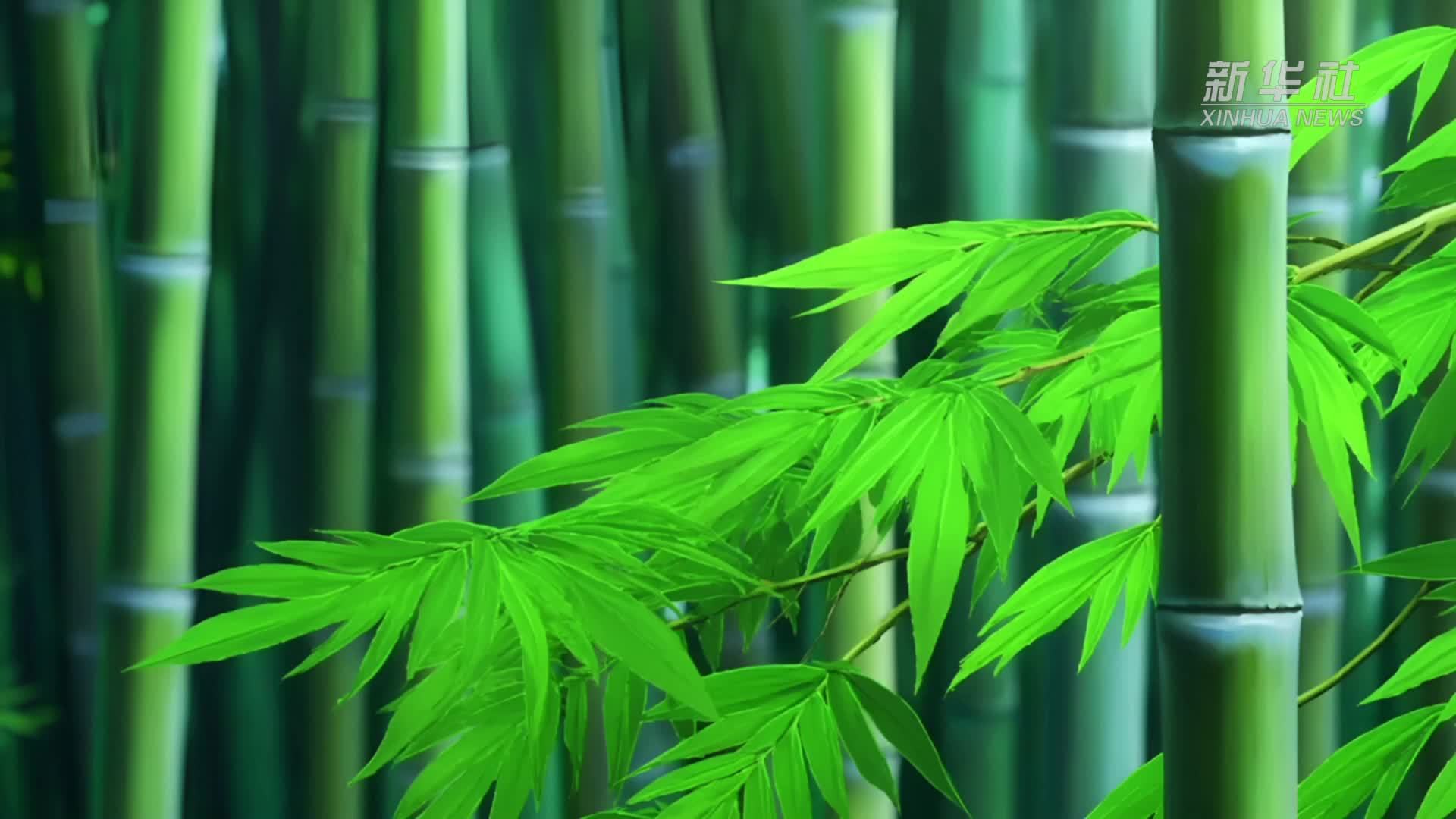 世界动物日｜共生·共享·共鸣——我们生活在同一个星球