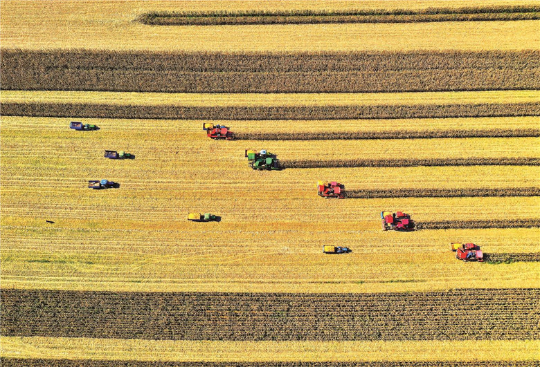 四平农业机械化作业场景。李坤 航拍