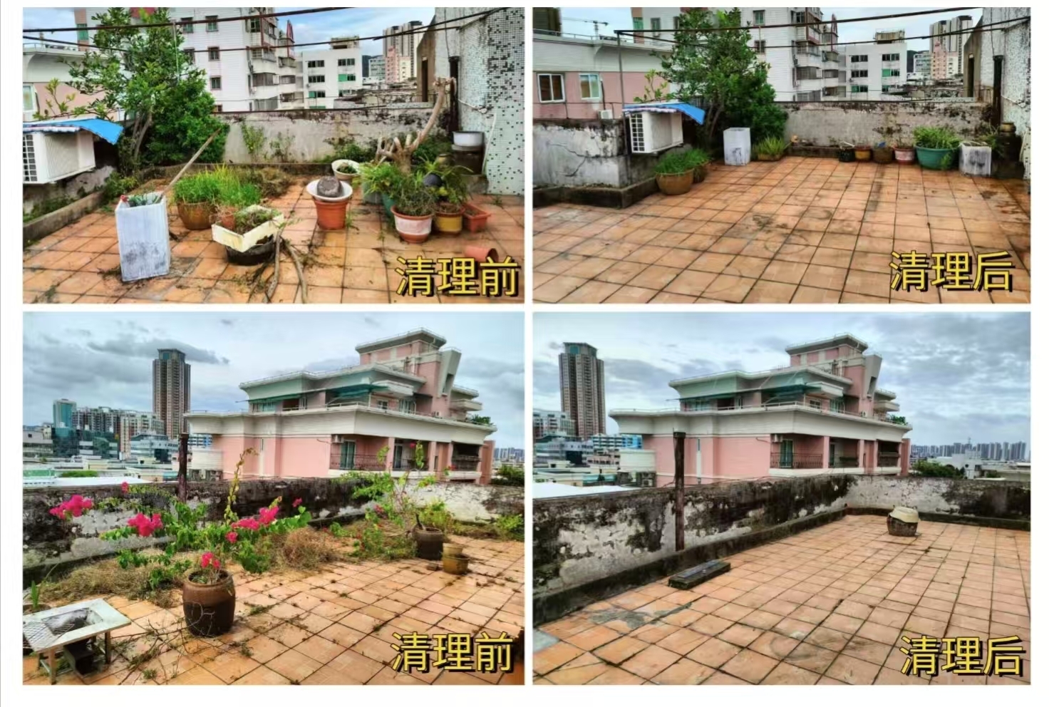 江门市妇联发动社会力量 全力以赴做好基孔肯雅热疫情防控攻坚工作