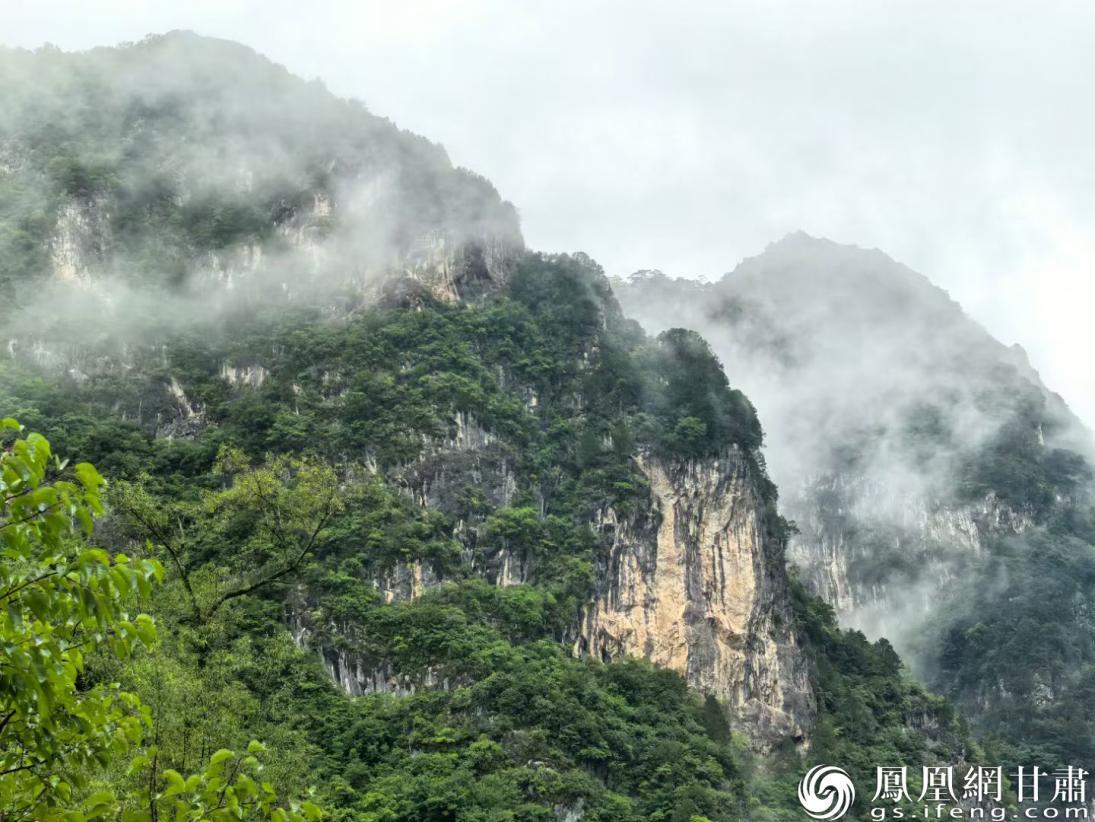 陇南山地的诗意风光