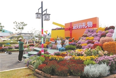 市民在花園節景觀前打卡拍照