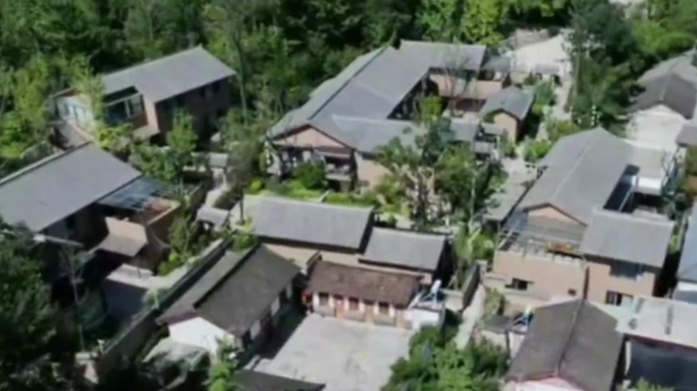 甘肃徽县田河村,153棵千年银杏与嘉陵江,共绘陇上江南的金色童话_凤凰网视频_凤凰网